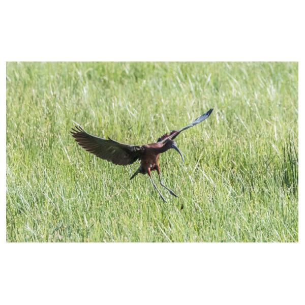 PHOTO84, CLUB, 84 , LUBERON